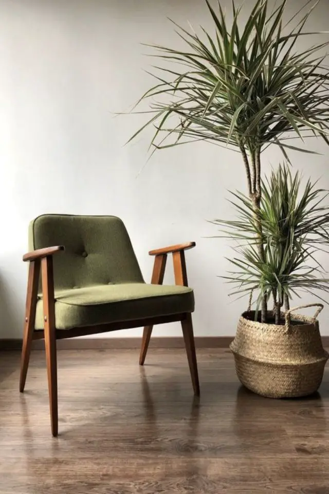 decor salon fauteuil vert exemple ambiance slow et vintage plantes minimalisme
