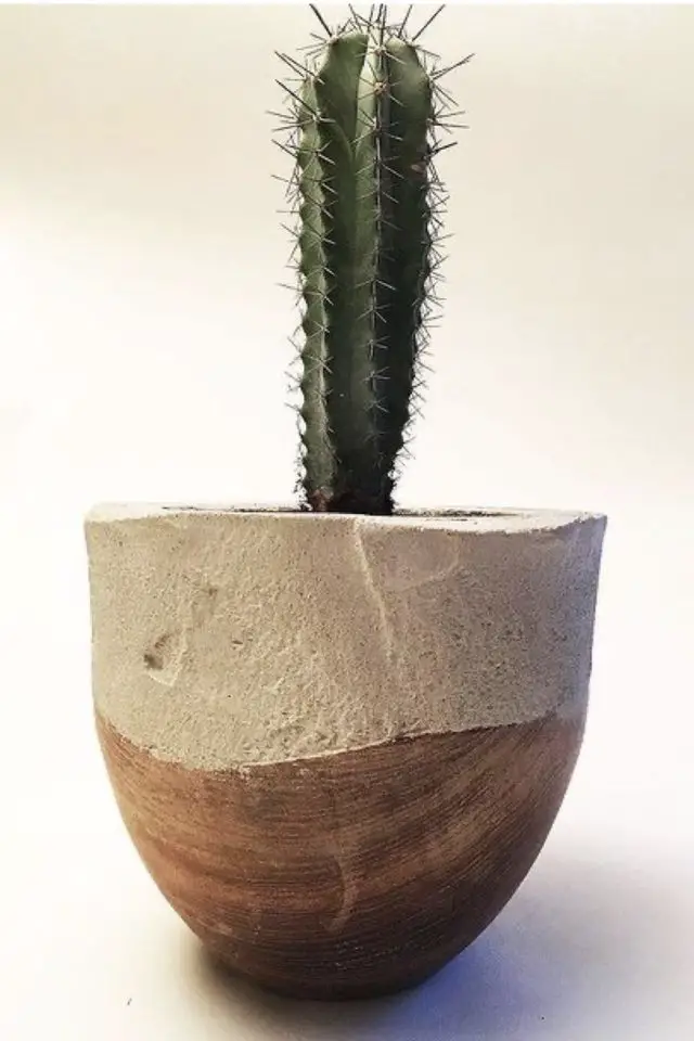 diy creatif jardin beton cache-pot cactus bois déco chic à faire soi même