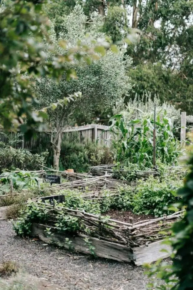 exemple amenagement jardin cure carré potagé en bois fouillis esthétique naturelle 
