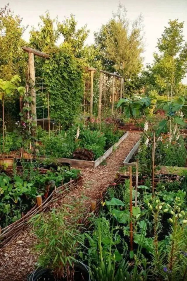 exemple amenagement jardin cure carrés potager séparés allée en copeaux mélange de plantes 