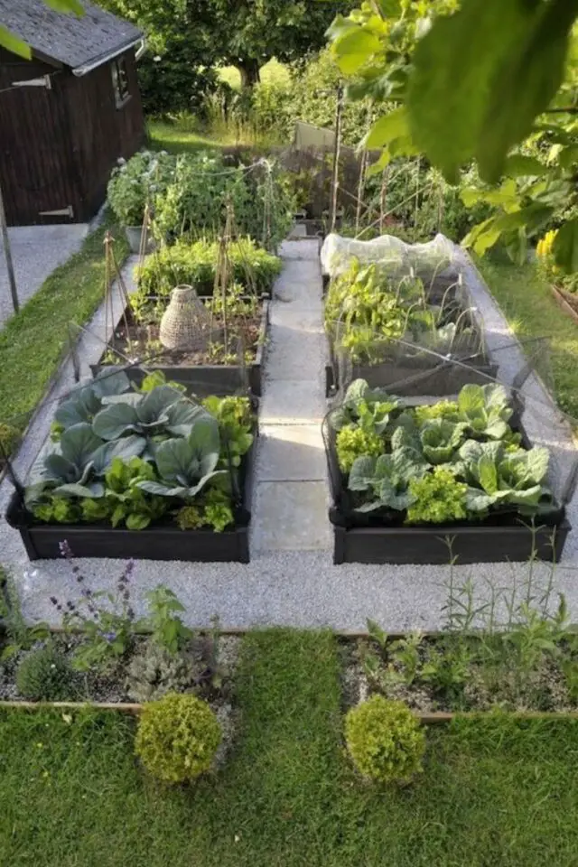 exemple amenagement jardin cure petit espace extérieur carré potagé moderne allée en gravier pratique et simple