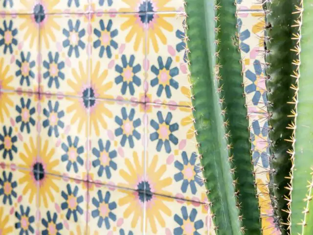 villa 3 chambres style mexicain moderne carreaux de ciment extérieur jaune rose bleu 