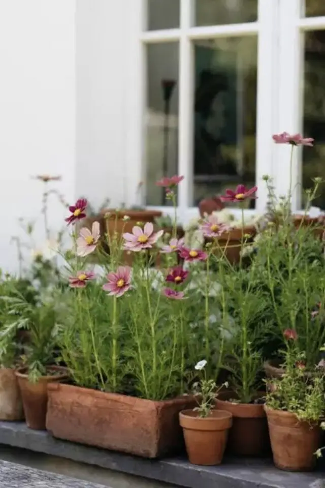 transformer le jardin en un week-end jardinières de fleurs rebord de fenêtre idées rapides à mettre en oeuvre 