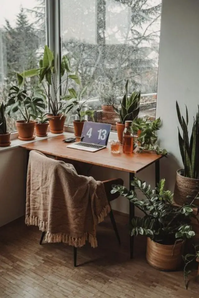 accessoire bureau couleur nature plantes vertes à poser en pot près de la fenêtre et au sol 