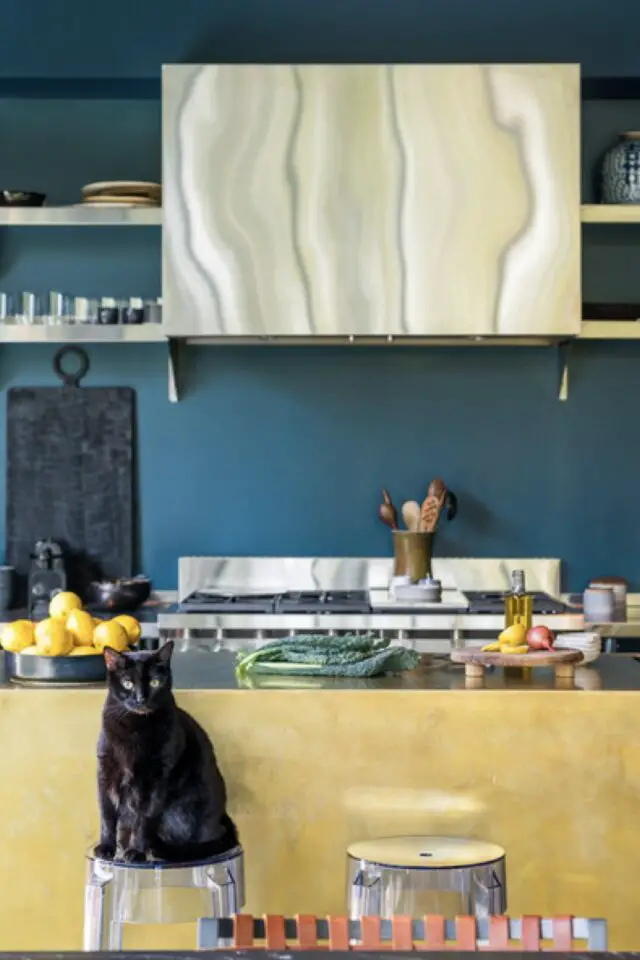 bungalow maison compacte moderne cuisine ouverte design élégant et fonctionnel tabourets de bar transparents chat 