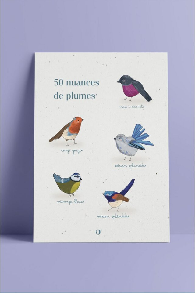 illustration poetique nature pomologram passion oiseau délicatesse bonheur 