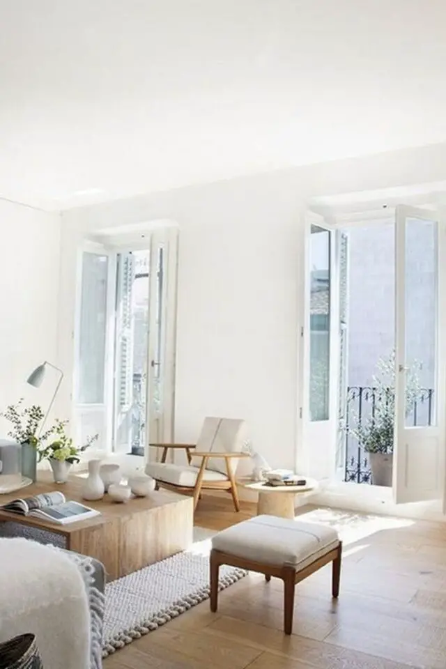 couleur salon moderne exemple blanc lumineux meuble en bois appartement porte vitrée 