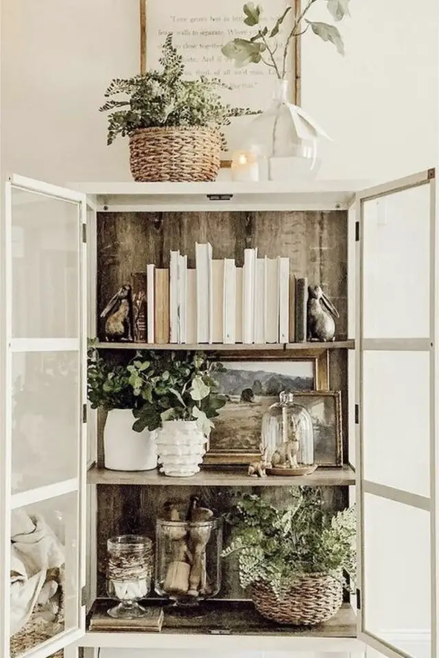 meuble déco salon idée petite vitrine blanche moderne rangement livres plantes idée originale 