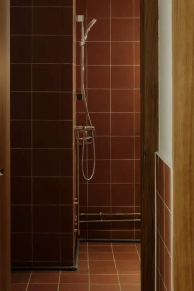 appartement meuble mid century moderne exemple salle de bain avec douche carrelage terracotta 