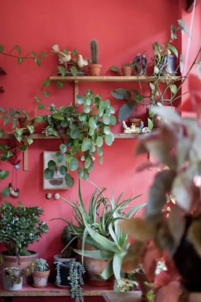 associer plantes vertes et déco rose peinture mur plantes tropicales en pot 