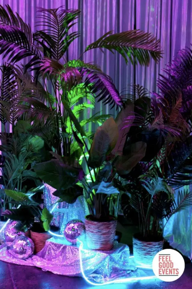 déco nouvel an néon fluo plantes vertes rideau couleur bleu et rose décoration maison réveillon 