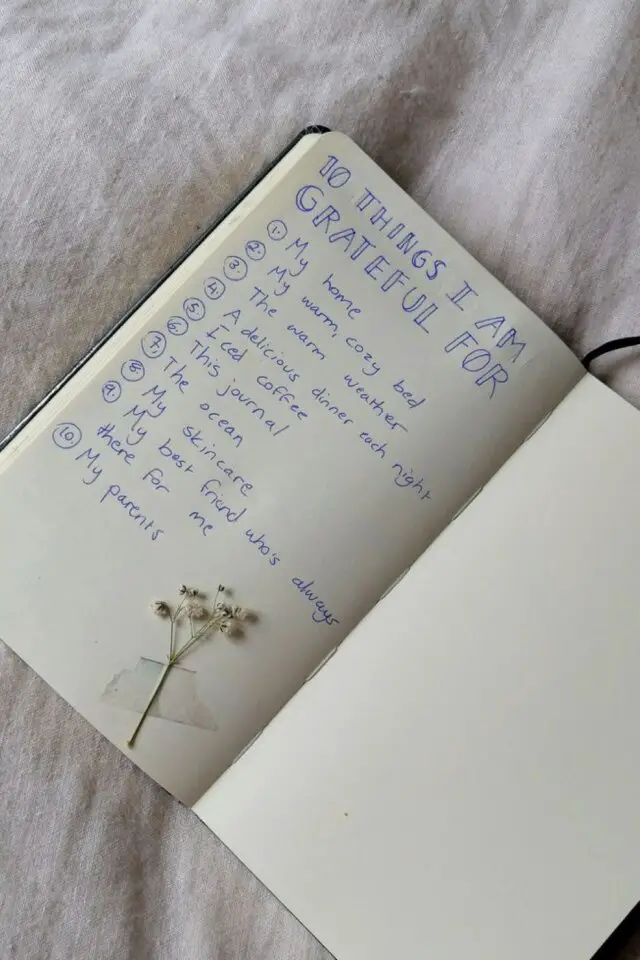 réussir journal gratitude liste facile carnet déco fleur séchées idée pas cher développement personnel 