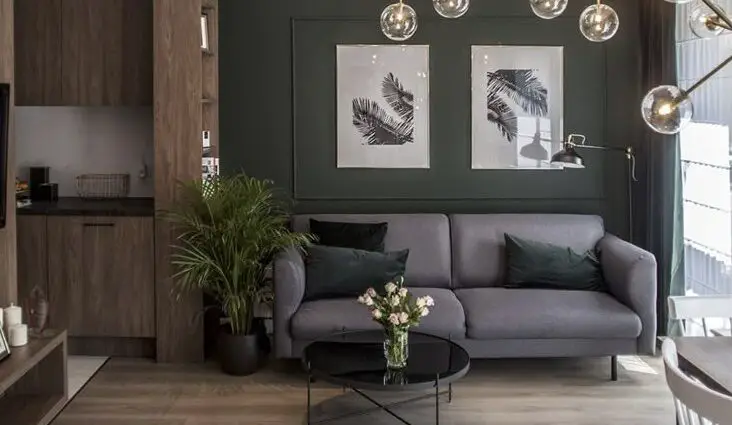 exemple déco intérieur gris et vert salon ambiance naturelle et douce